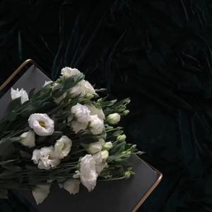 天使的翅膀（吉他翻唱）