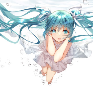Calc.（Cover 初音ミク）