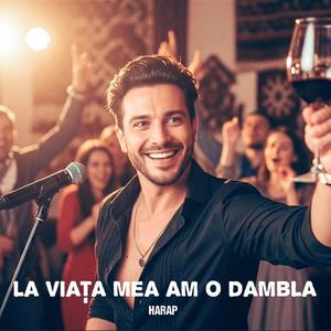 La viata mea am o dambla