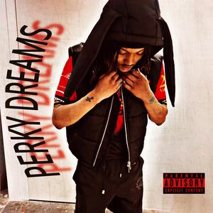 Perky Dreams