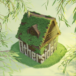 Otherside