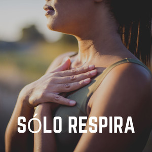 Apacibilidad de la Esencia