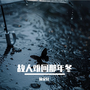 在繁华的地方流浪