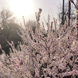 世界催我长大，你教我变回小孩