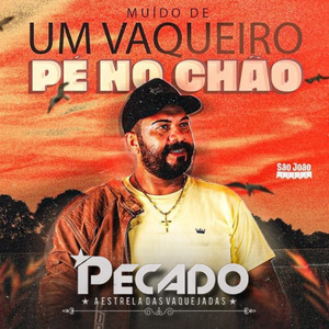 VAQUEJADA NO NORDESTE