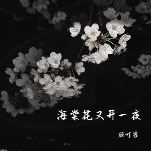 海棠花又开一夜