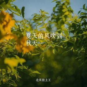 夏天的风吹到秋天（男声）