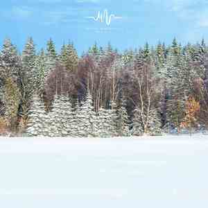 飞鸟 (吉他治愈曲)