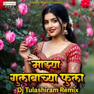Majhya Gulabachya Fula Dj Tulashiram