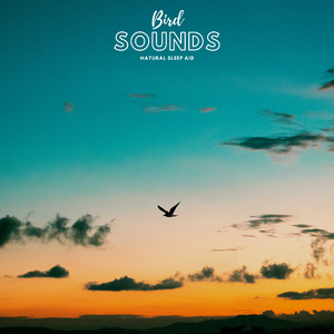 Birdies