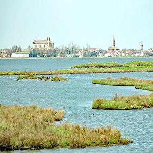 청명한 녹색자연의 치유 (마음치료)