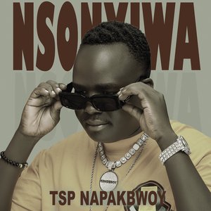 Nsonyiwa
