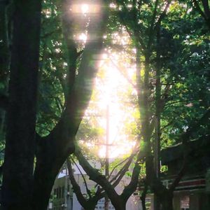 mystery of love