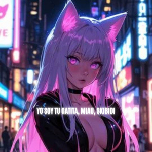 Yo soy tu gatita, miau, skibidi (DJ Mix)