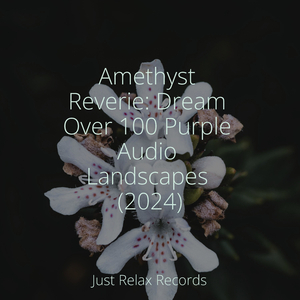 Solemn Sunrise Serenade