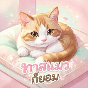 ทาสแมวก็ยอม