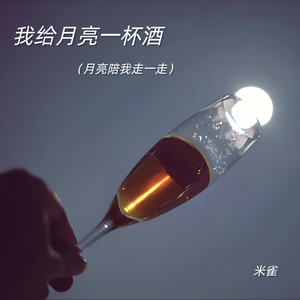我给月亮一杯酒（月亮陪我走一走）