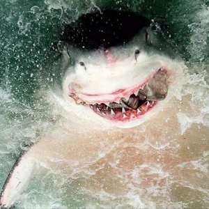 陶子潭-FLY（JIN remix）