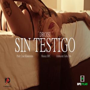 SIN TESTIGO