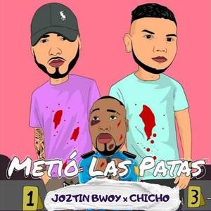 Metió Las Patas