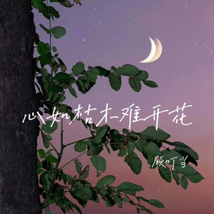 心如枯木难开花