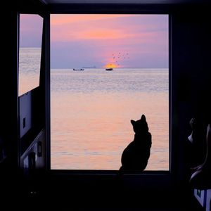 好想每天都在你左右