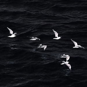你是我未完成的夏天