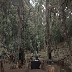 Festival Toda la Teoría del Universo (En vivo)