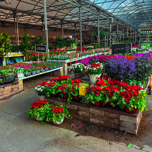 ... y tú no estás (Sped Up)