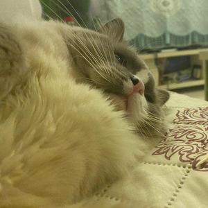 彼女は旅に出る