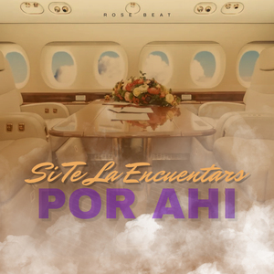 Si Te La Encuentras Por Ahí (Remix)
