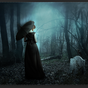 午夜森林(Forest)