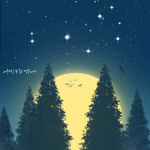 여름밤을 수 놓은 별들처럼