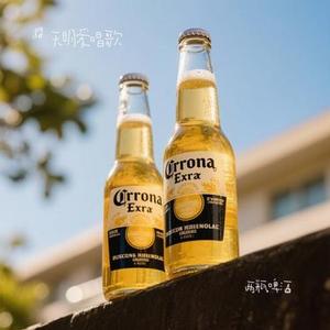 两瓶啤酒（Cover 陈玉建）