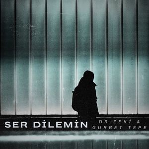 Ser Dilemin
