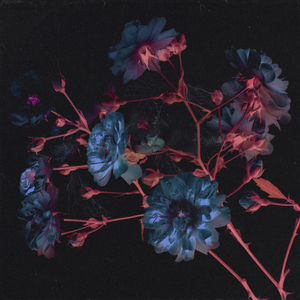 넌 나의 마음 사이에 비집고 들어온 사이