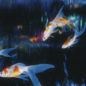 孤独的人听悲伤的歌