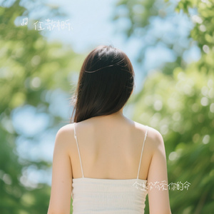 今生没有爱你的命