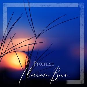 Promise