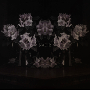 Nadir