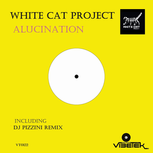 Alucination (DJ PIZZINI remix)