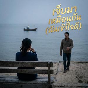 เจ็บมาเหมือนกัน(ฉันเข้าใจดี)