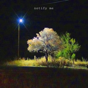 notify me
