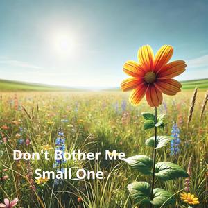 Don't Bother Me Small One
