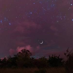 星梦（Prod by ChunLi128）