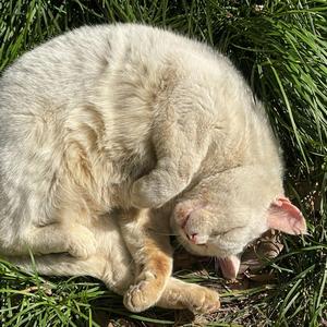 我脏但是我有女朋友啊