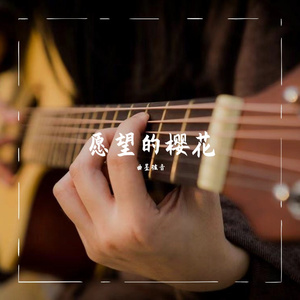 愿樱（翻：GIN）绝美指弹