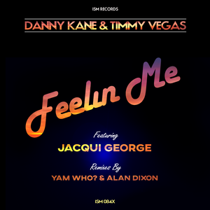 Feelin Me (Alan Dixon Remix) [feat. Jacqui George]