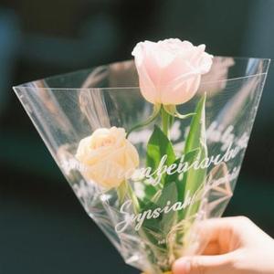 买朵花送给自己 (Cover 刘嘉绮)