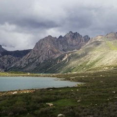 又在梦里见到你